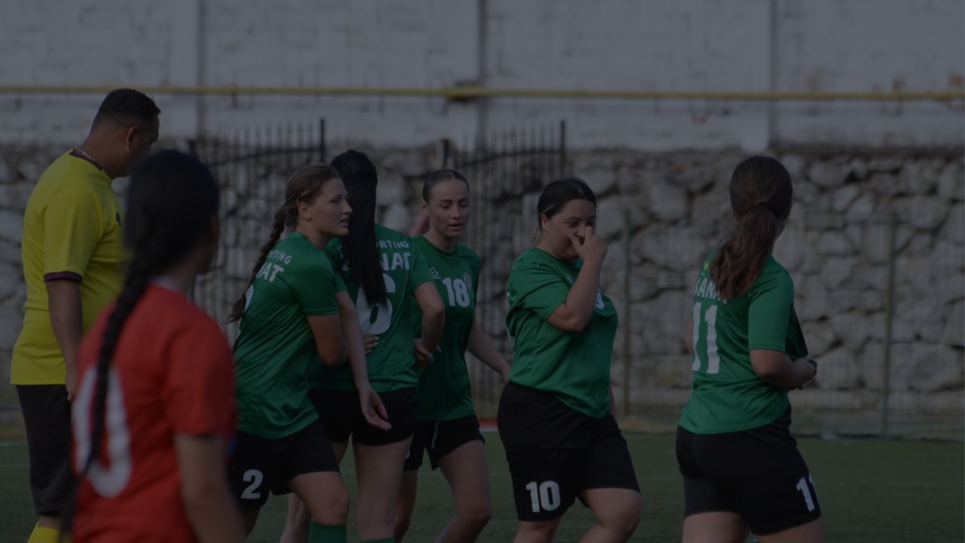 ACS Sporting Banat Team